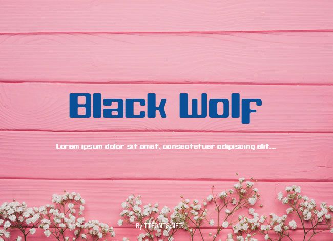 Black Wolf example